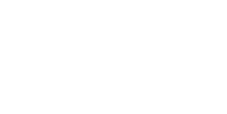 CNS