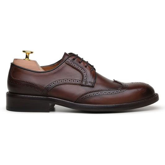 SAPATO DERBY CNS+ BROGUE RAMY 1 HAVANA