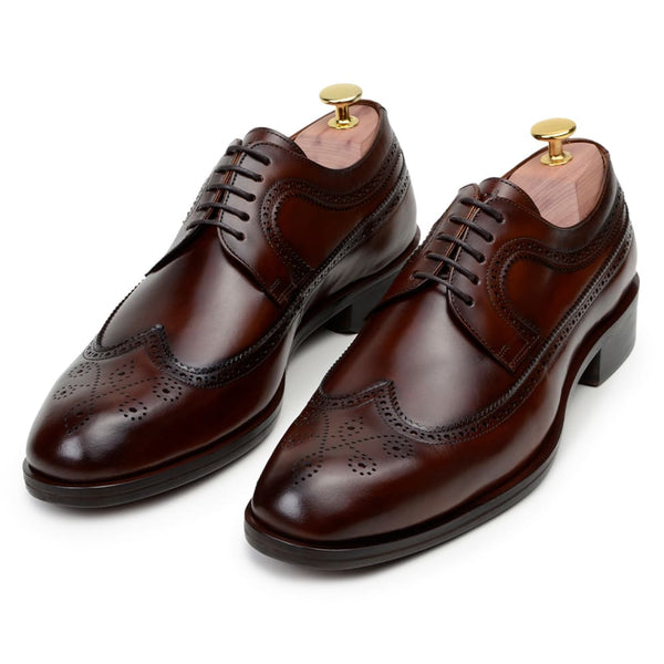 Sapato Social Masculino Derby CNS+ Brogue Holl WHISKY