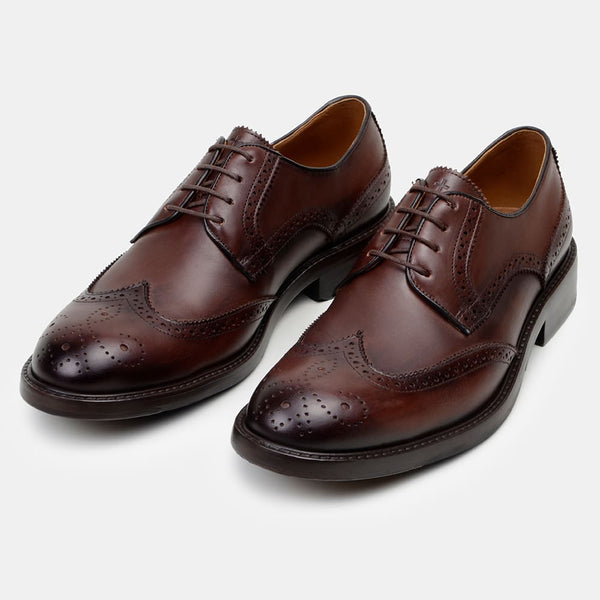 Sapato Derby CNS+ Brogue Ramy 1 HAVANA
